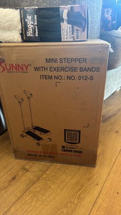 Mini stepper