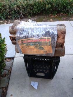 🔥 Bonfire Wood 🪵