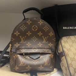 Louis Vuitton Palm Spring Book Bag