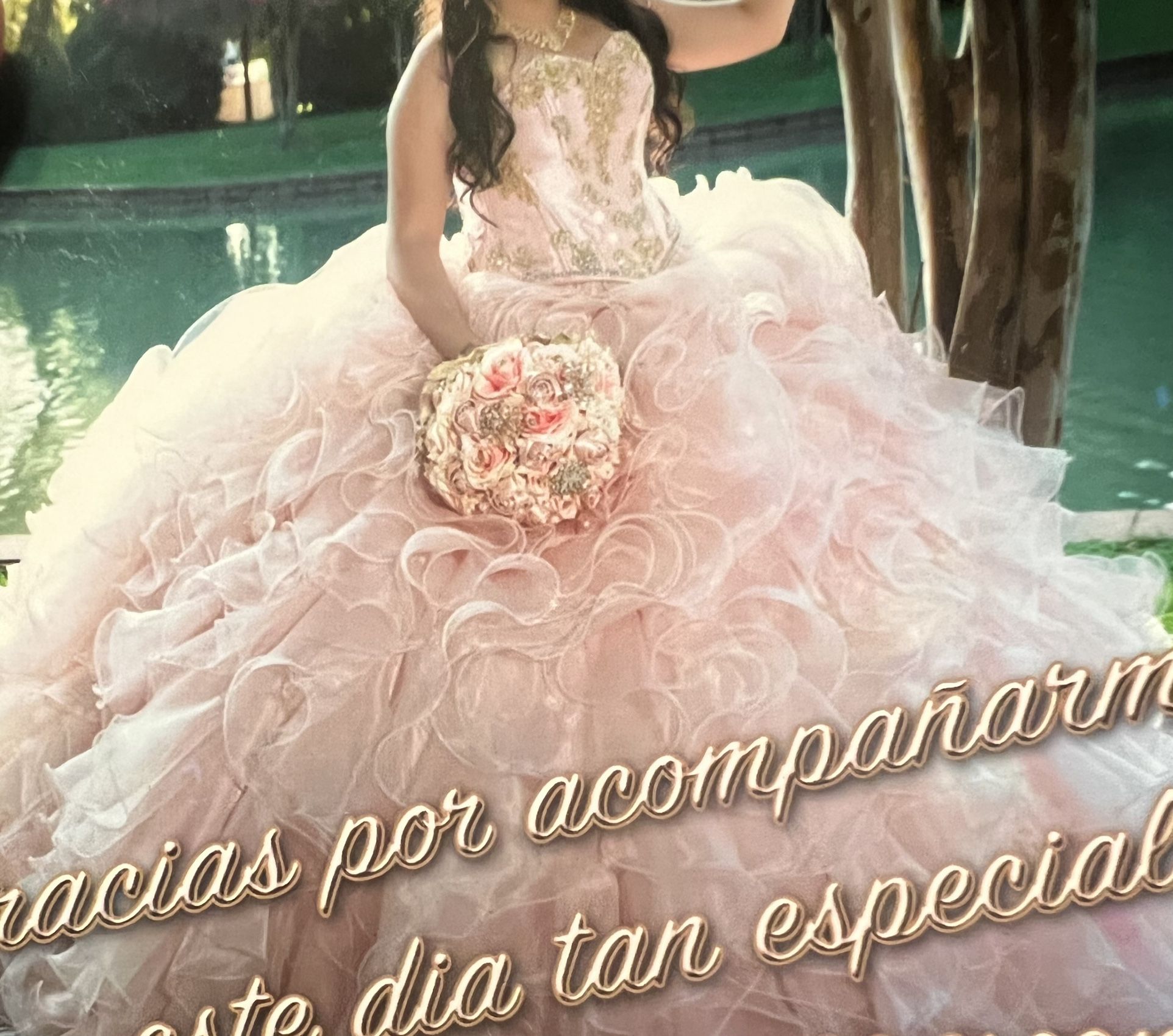 Vestido desinado por Tomas Benitez ,Caja de , Torre De Paris ~ Vase De Copas, Torre De Paris ( Altura 10-12 Pies) $1000