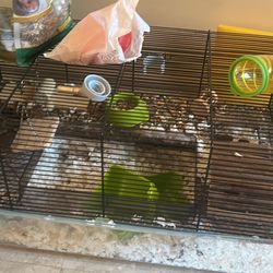 Hamster Cage And Food