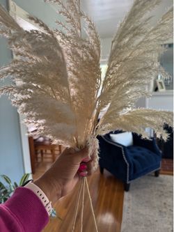 Three pampas grass decor