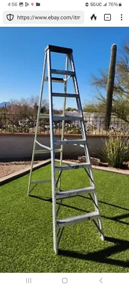 Ladder, 8 Foot