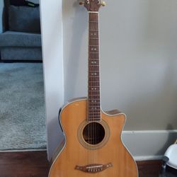 Guitar (Hochner) Acoustic 