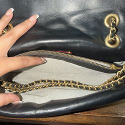 Coach Pillow Tabby (medium)