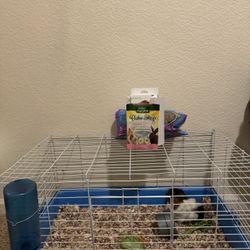 Guinea Pig Cage 