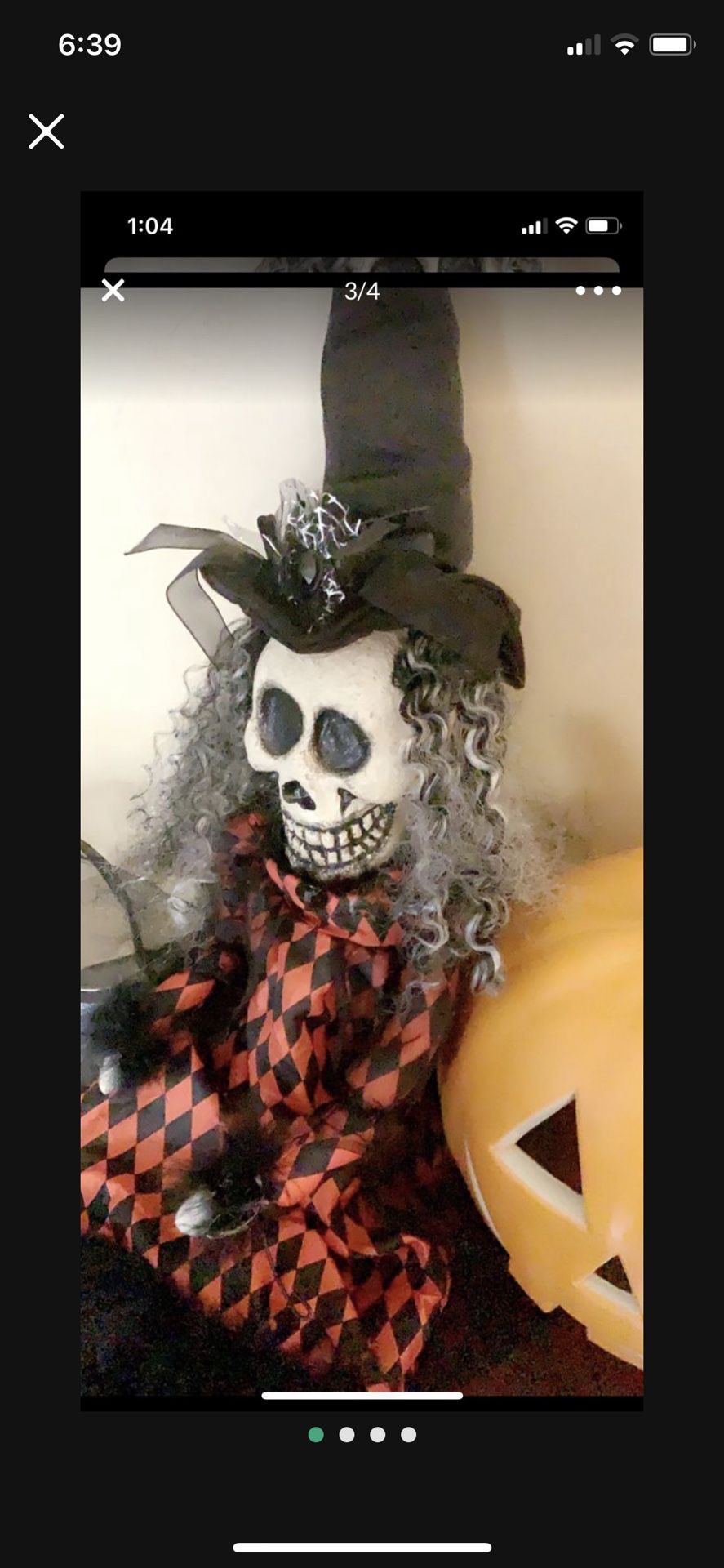 Halloween Skeleton Witch 