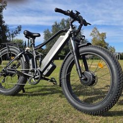 Dual Motor Electric Bike 2000w Full Suspension