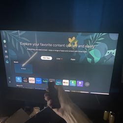Samsung 4K Ultra UHD 65 inch LED TV