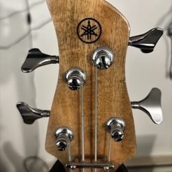 Musical Instruments 