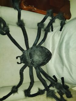 Halloween spider decorations