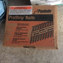 6,500 Box Of Pro Strip Nails