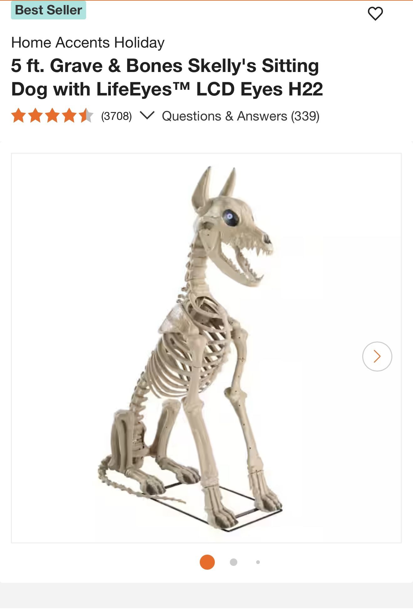 5ft Grave & Bones Skellys Sitting Dog