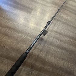 Brand New Daiwa Proteus  8’ Xh Salt Water Fishing Rod. 