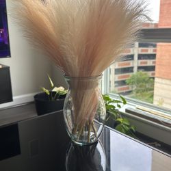Decorative Feathers And Glass Clear Vase