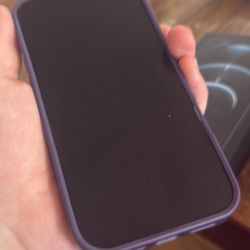 iPhone 12 Pro Max 