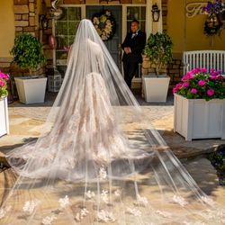 Bridal Veil