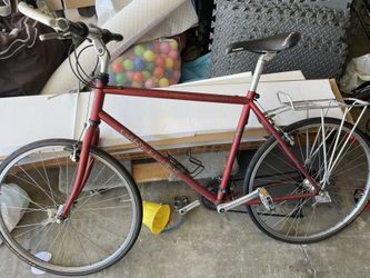 Vintage Gary Fisher Bike (needs TLC)