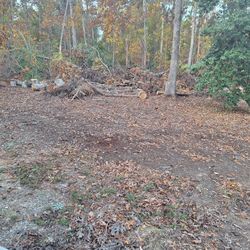 Firewood 