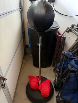 Kids Boxing Bag with Gloves!