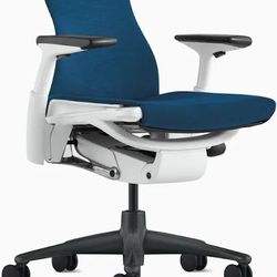 Herman miller Embody Chair