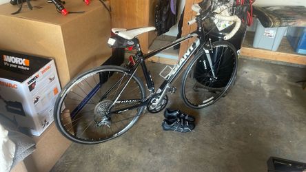 Giant (and LIV) / Model Defy 5