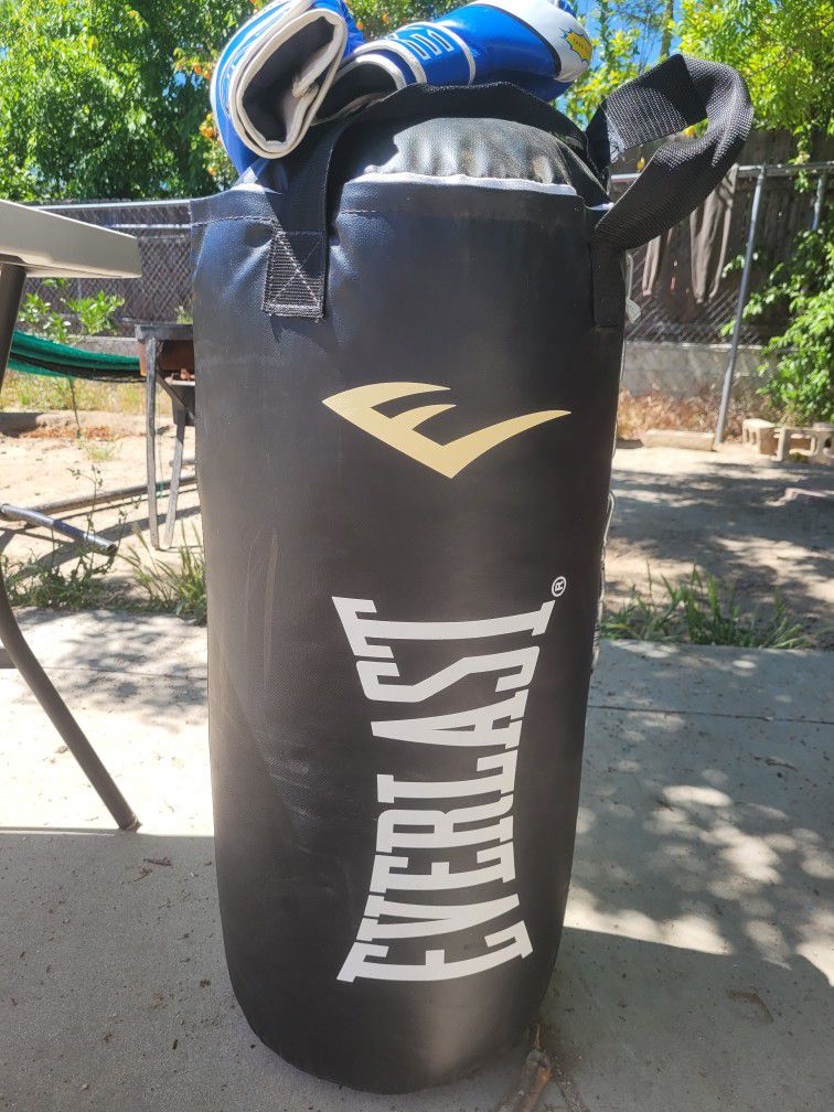 Everlast Punching Bag With Gloves