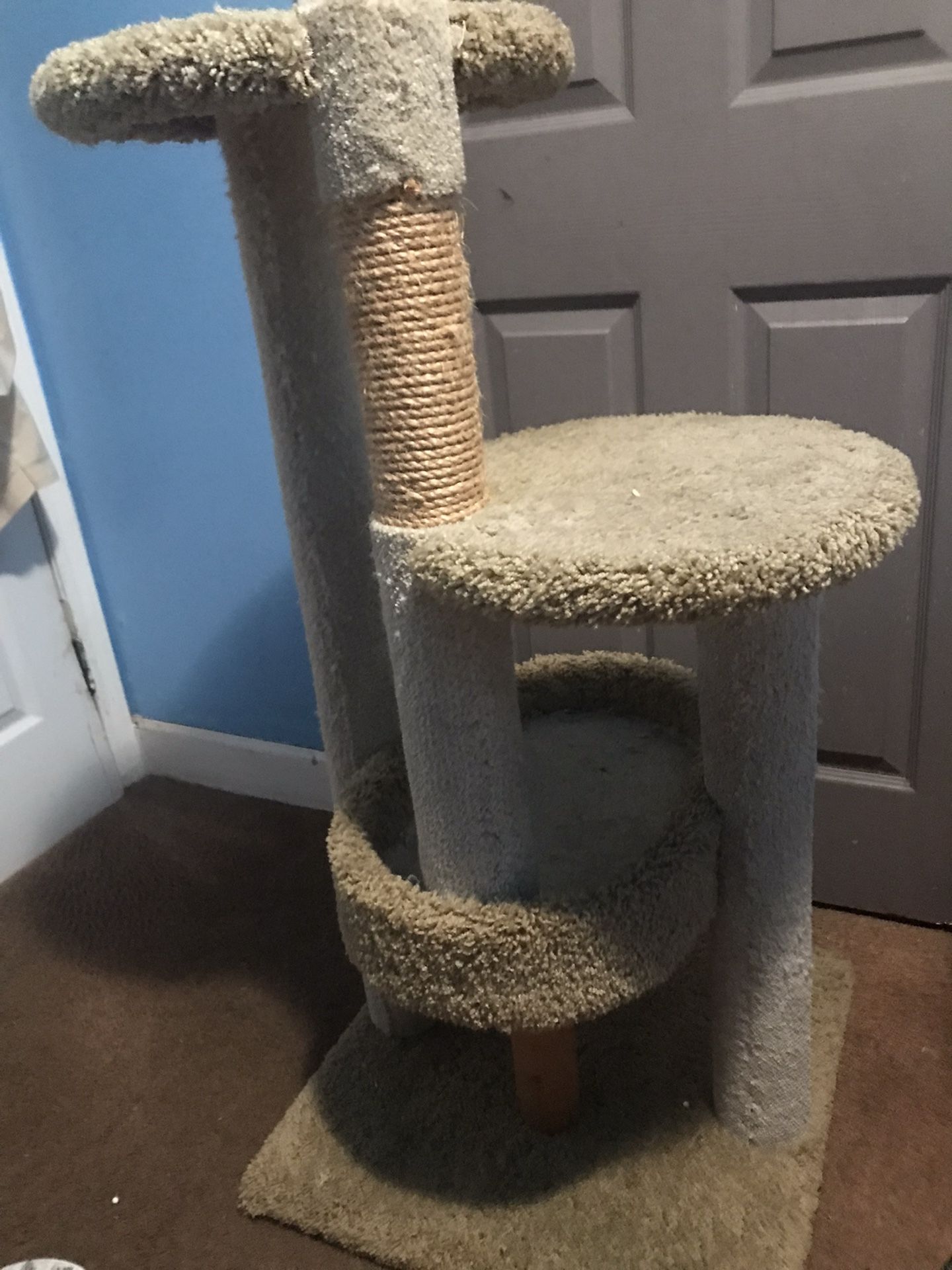 Cat Scratch Post 