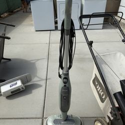 Shark Stream And Scrub