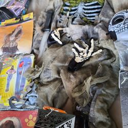 Halloween Costumes
