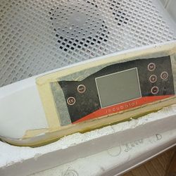 Incubator 