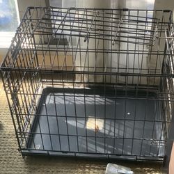 Dog Case $15