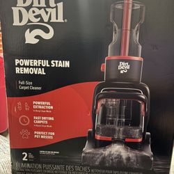 Dirt Devil Stain Remover