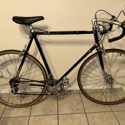 Old Schwinn Paramount With Campagnolo Components