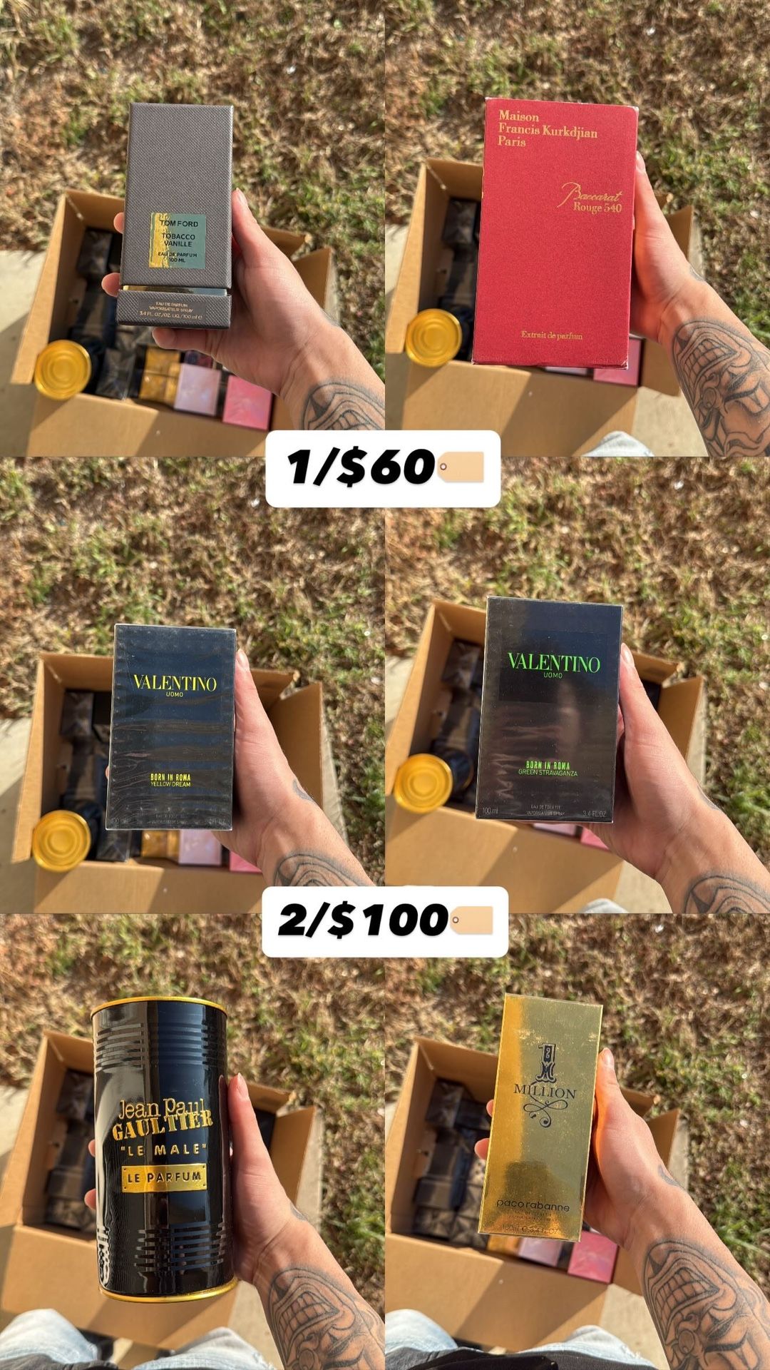 Colognes and Perfumes 