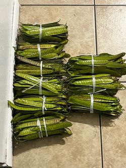 So many plants for sale