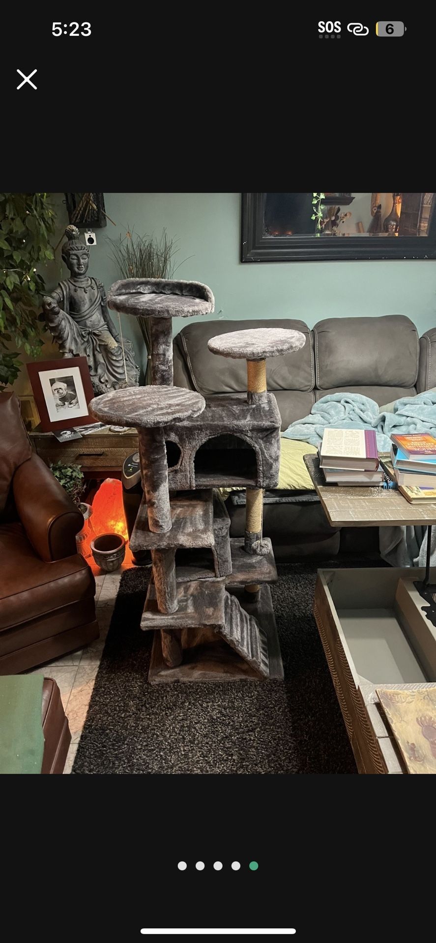 Cat Climbing Tower