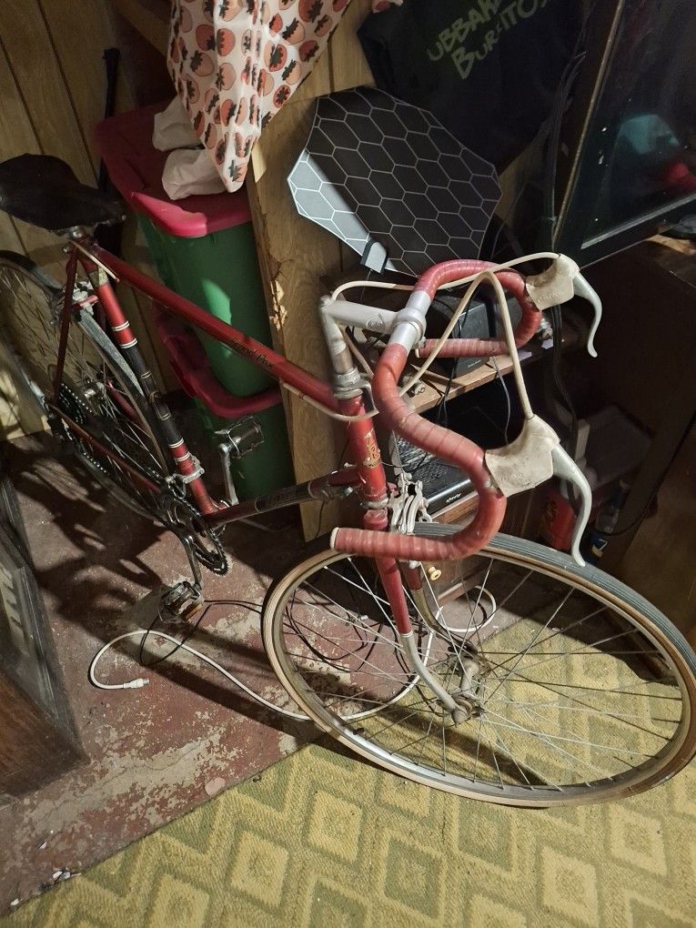 Raleigh Bike