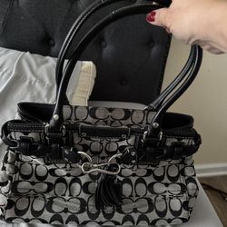 Coach Handbag /  Hoka Running Shoes