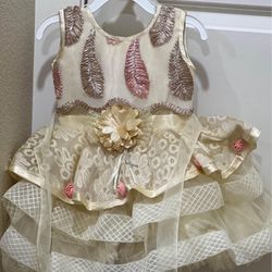18 M Baby Girl Party Wear Dress