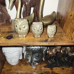 Brass Owls Set