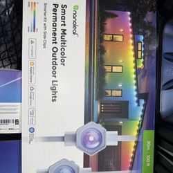 Nanoleaf Outdoor Lights 