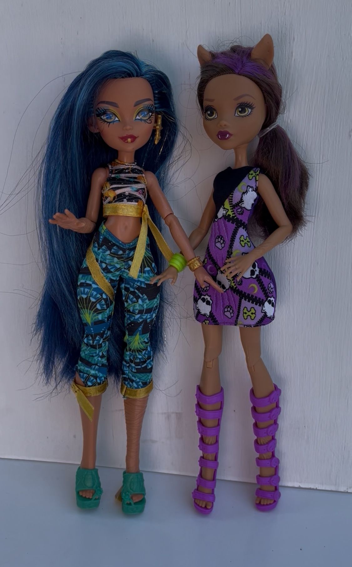 2 Monster High Dolls