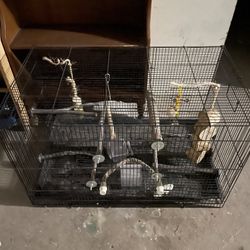 Bird Cage