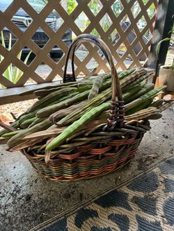 Moringa shoots. make me an offer.