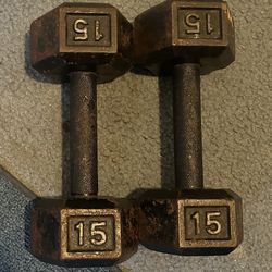 Dumbbells 15lbs 