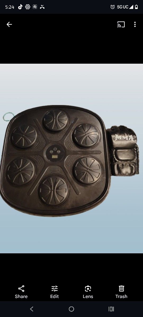 Wall Mount Boxing Machine 2 Gloves