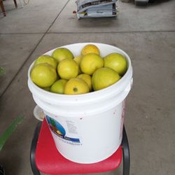 botes grande de limas dulces 