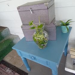 Plants $6.00 Each 