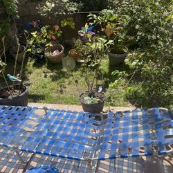 Folding Bed For Patio Pool Or Camping